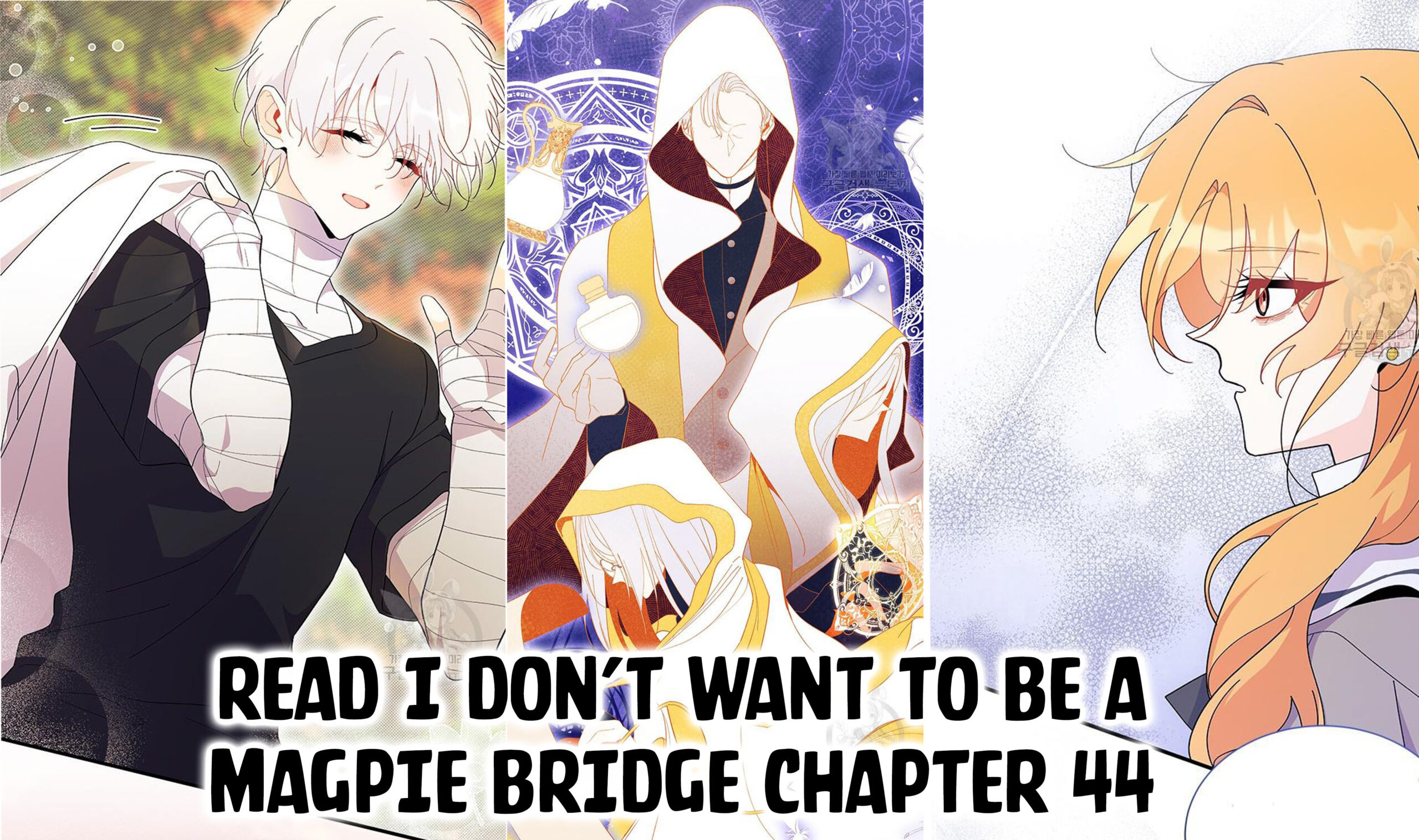 I Don’t Want To Be a Magpie Bridge