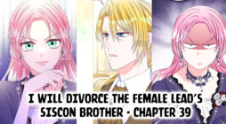 I Will Divorce the Female Lead’s Siscon Brother